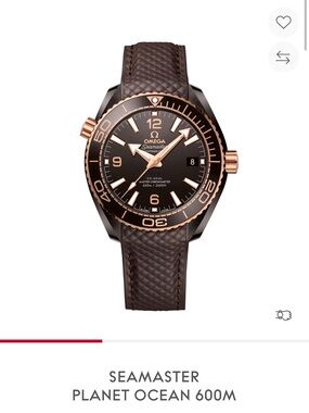 Omega Men's Seamaster Planet Ocean 600mm